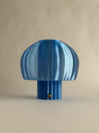 Portable MANET - Overseas Sapphire