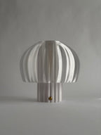 Portable MANET - Moon Alabaster